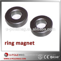 Ringmagnete diametrale Hersteller China